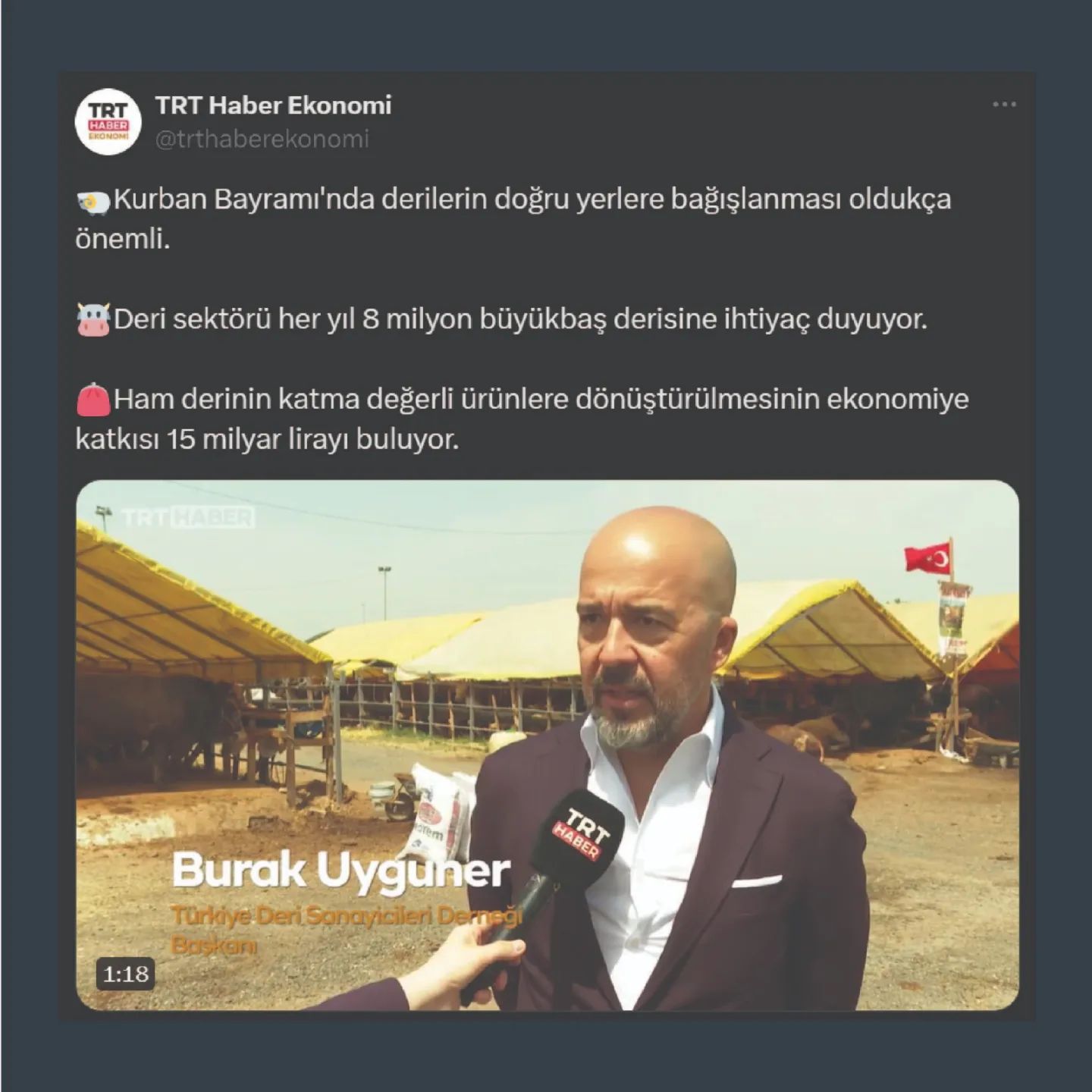 Kurban Derilerinin Türkiye Ekonomisine Olan Katkısı