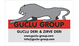 Güçlü Group